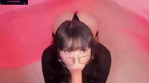 PROXIMO SHOW NOVIEMBRE 16   NEXT SHOW NOVEMBER  16    online show from 19, 9, 2025