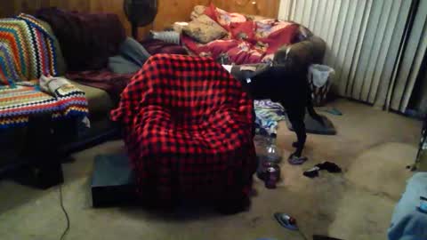 Snapshot of gamerfiend420 chatting on 17, 10, 2025 gamerfiend420 online show from 17, 10, 2025