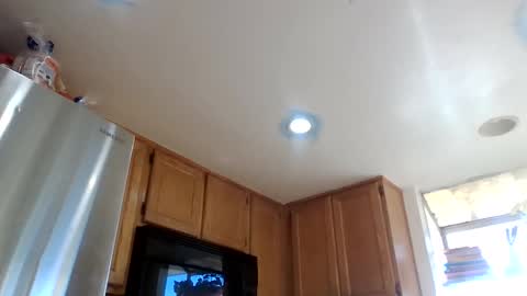 gangdrewski online show from 8, 3, 2026