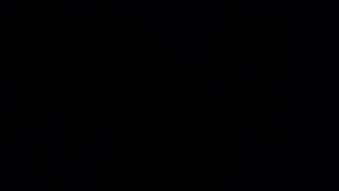 Snapshot of gardener666 chatting on 26, 1, 2025 Gard online show from 26, 1, 2025