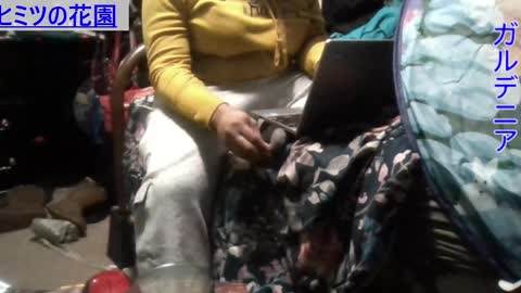 Gardenia online show from 9, 12, 2024