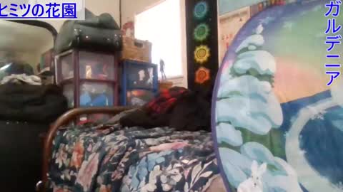 Gardenia online show from 8, 1, 2025