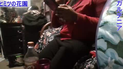 Gardenia online show from 12, 1, 2025