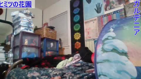 Gardenia online show from 25, 2, 2025