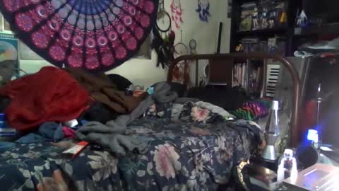 Gardenia online show from 17, 12, 2025