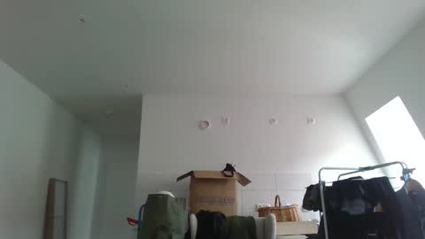 Snapshot of garfield42 chatting on 21, 3, 2026 Garfield online show from 21, 3, 2026