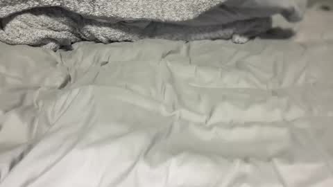 G online show from 27, 4, 2026