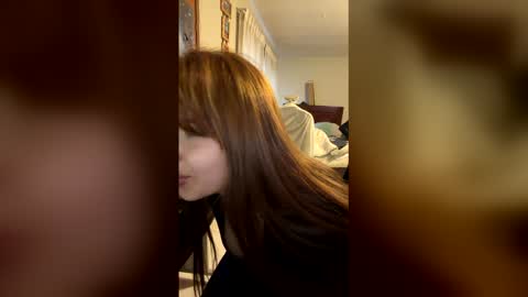 gata_cat online show from 27, 4, 2026