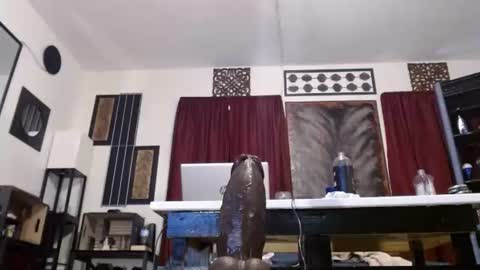 gatewaylaptop2019 online show from 19, 4, 2026