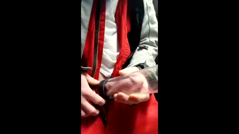 gator19037526775 online show from 13, 3, 2026