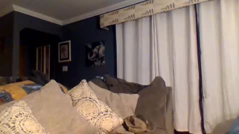 Daddy Gator online show from 25, 12, 2024