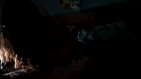 Daddy Gator online show from 27, 2, 2025