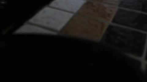 gene online show from 31, 12, 2024