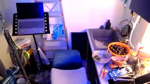 Snapshot of georgempt chatting on 12, 1, 2025 georgempt online show from 12, 1, 2025