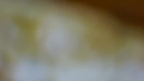 germanandy71 online show from 3, 11, 2025