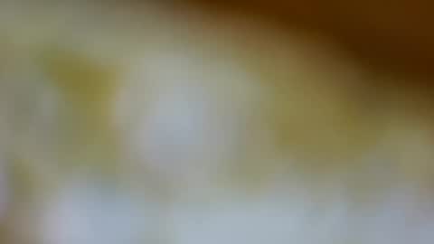 germanandy71 online show from 26, 11, 2025