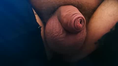 germanfatfemboy online show from 6, 3, 2026