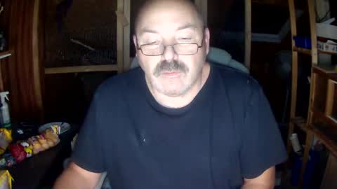 germany_50 online show from 15, 12, 2024