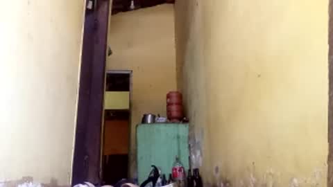 Gaby online show from 11, 10, 2025