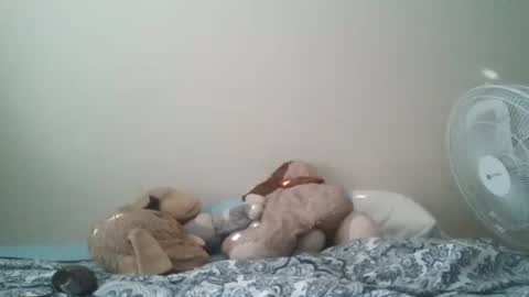 Snapshot of ghansberger2 chatting on 11, 3, 2026 ghansberger2 online show from 11, 3, 2026