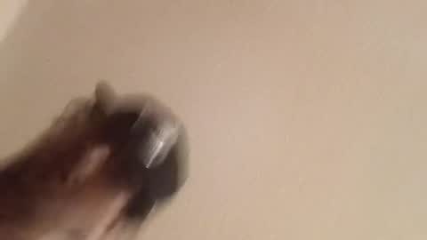 giantdick4u1991 online show from 7, 7, 2026