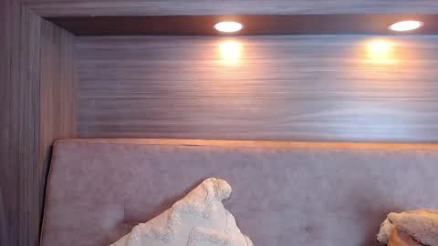 gigi wilden online show from 10, 9, 2025