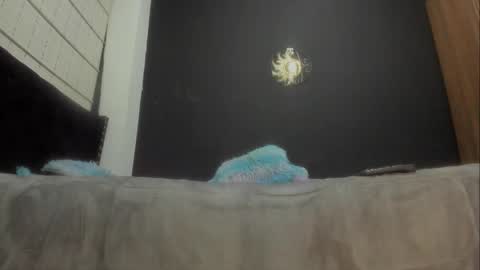 Snapshot of ginger_amarett chatting on 7, 3, 2025 Miss online show from 7, 3, 2025