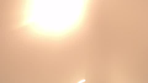 gingerfox_glow online show from 19, 6, 2026