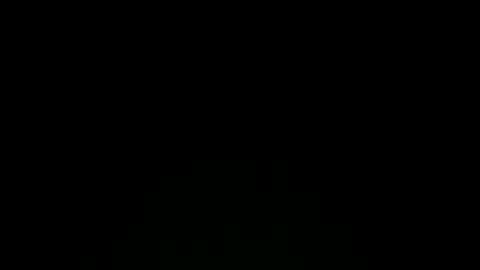 AntEater online show from 4, 3, 2026