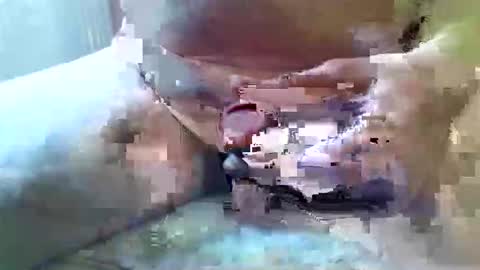 girafsnoop online show from 25, 2, 2026