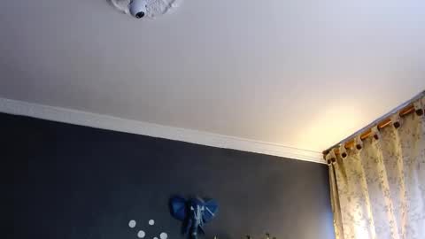 piggy boy online show from 31, 1, 2025