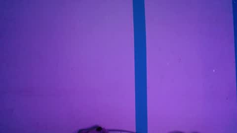 Alejandra online show from 3, 4, 2026