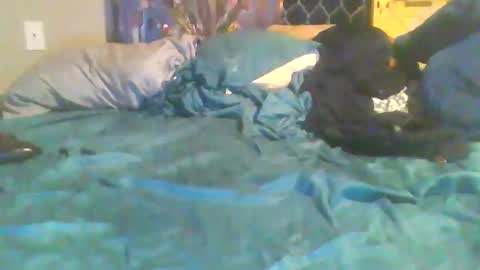 girthdoctor online show from 13, 3, 2026