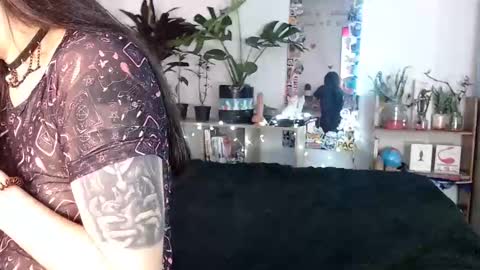 Nice to meet you my name is Heyli  online show from 2, 12, 2024