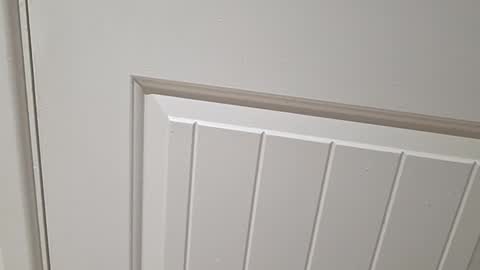 Gloscam online show from 23, 11, 2025