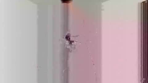 goblue4133 online show from 25, 12, 2024