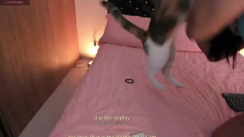 goddess_eli77 online show from 4, 10, 2025