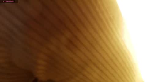 M A R T I N A  online show from 12, 1, 2026