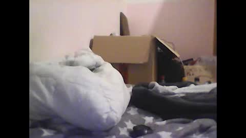 gohan8558 online show from 9, 11, 2025