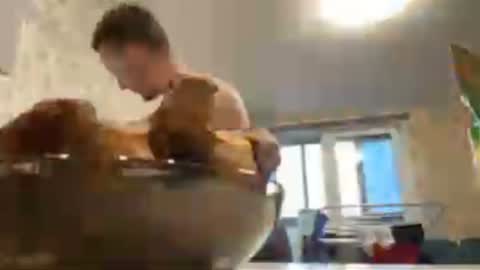 Golden boyyy21 online show from 25, 1, 2025