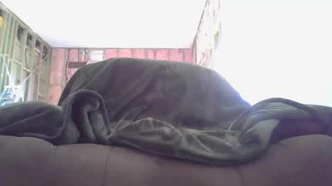 Snapshot of goodcock12345 chatting on 3, 12, 2024 goodcock12345 online show from 3, 12, 2024