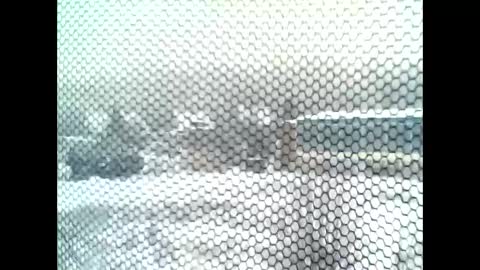 Snapshot of google5001 chatting on 11, 1, 2026 google5001 online show from 11, 1, 2026