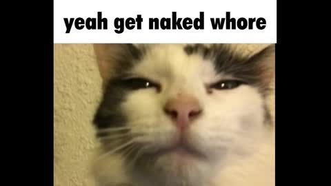 Snapshot of goth_pumpkin chatting on 3, 3, 2025 Amy online show from 3, 3, 2025