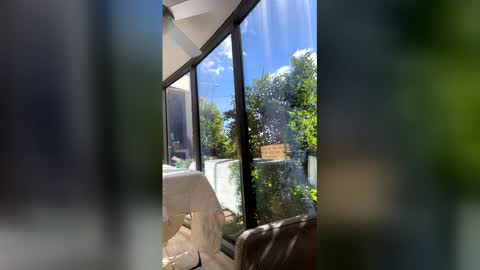 gracemeow online show from 27, 4, 2026