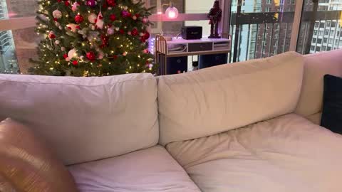 Snapshot of graciemae_baexx chatting on 17, 1, 2025 Gracie Mae online show from 17, 1, 2025