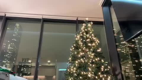 Snapshot of graciemae_baexx chatting on 3, 12, 2025 Gracie Mae online show from 3, 12, 2025