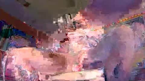 grambag1995 online show from 5, 3, 2026