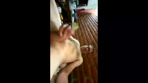 Snapshot of greaser0 chatting on 26, 11, 2025 greaser0 online show from 26, 11, 2025