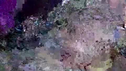 Jack online show from 16, 1, 2025