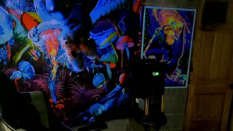 Greenlungs8195 online show from 4, 2, 2025